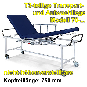 3-teilige-nicht-hohenverstellbare-Transport--und-Aufwachliege