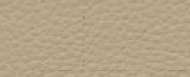 birch-64-704-190