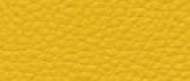 corn-713-190