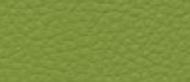 olive green-64-714-190